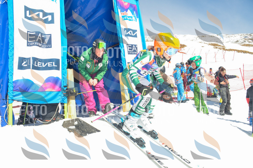 _ELE6169 | holidayphoto