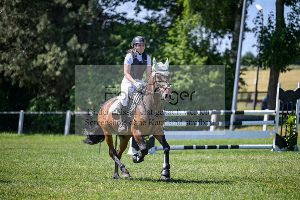 Reitturnier Voxtrup | Entdecke hochwertige Reitturnierfotos von Foto Oger. Professionell, emotional und authentisch – jetzt Lieblingsmomente im Shop bestellen. - Realisiert mit Pictrs.com