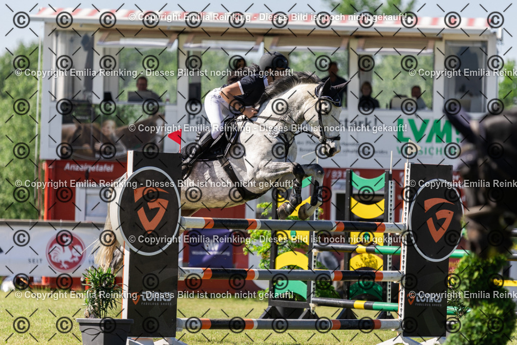 CL5A9000 | Emilia Reinking Fotografie - Realisiert mit Pictrs.com