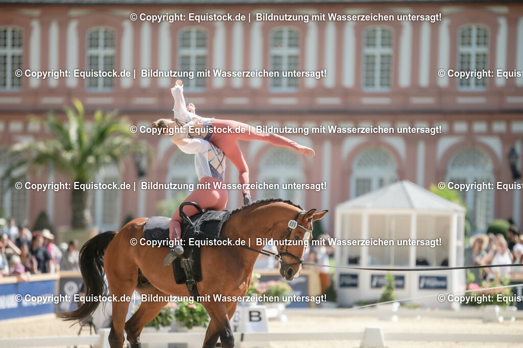 20230528_Voltigieren_NASPA_0385 | equistock