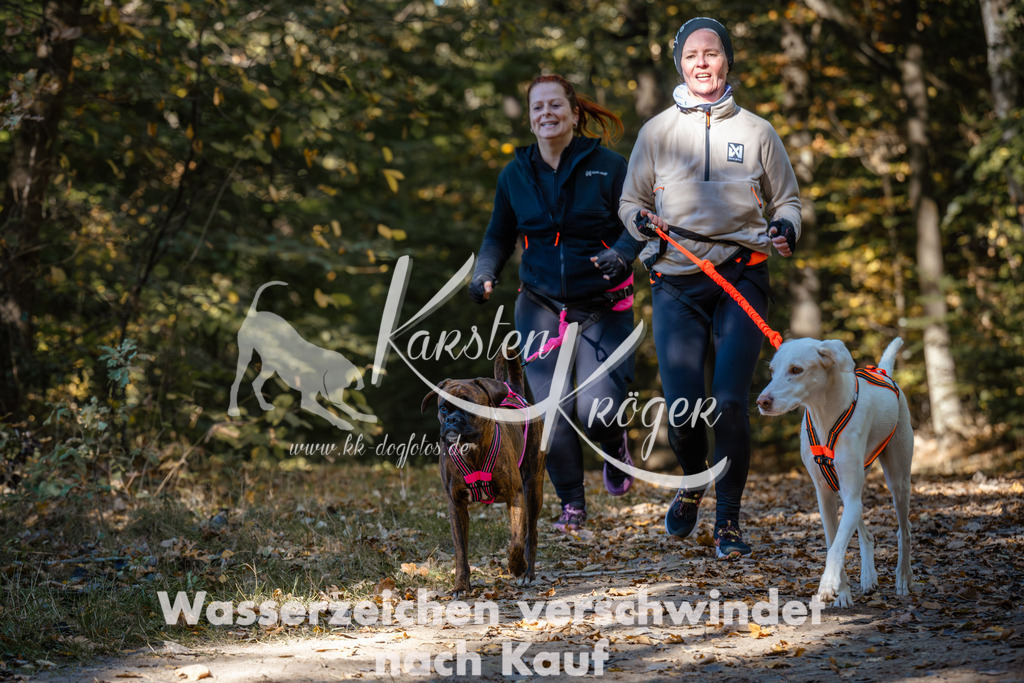 1212_ZZ94514 | kk-dogfotos