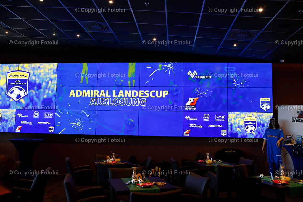 A_LUI_030724_13 | bilder, linz, photo, foto, fussball, sport, fotolui, bundesliga