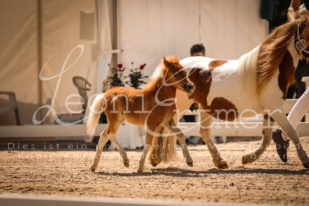 01.DoKR00108 | Leoni Ertmer Photography - Realisiert mit Pictrs.com