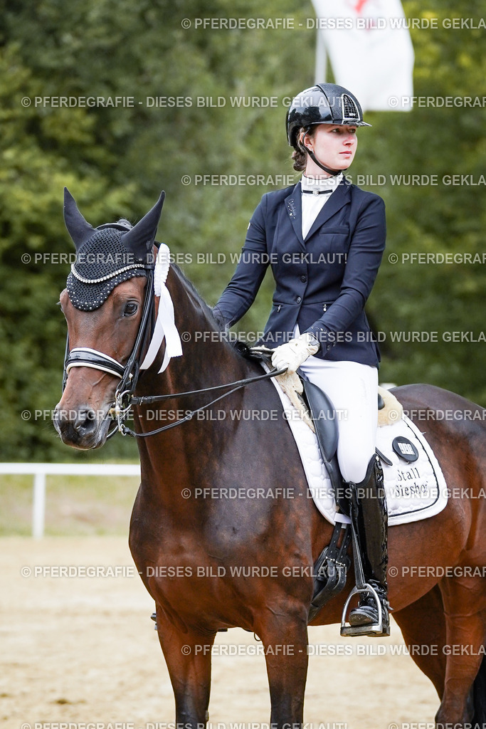 DSC02582 | Pferdegrafie