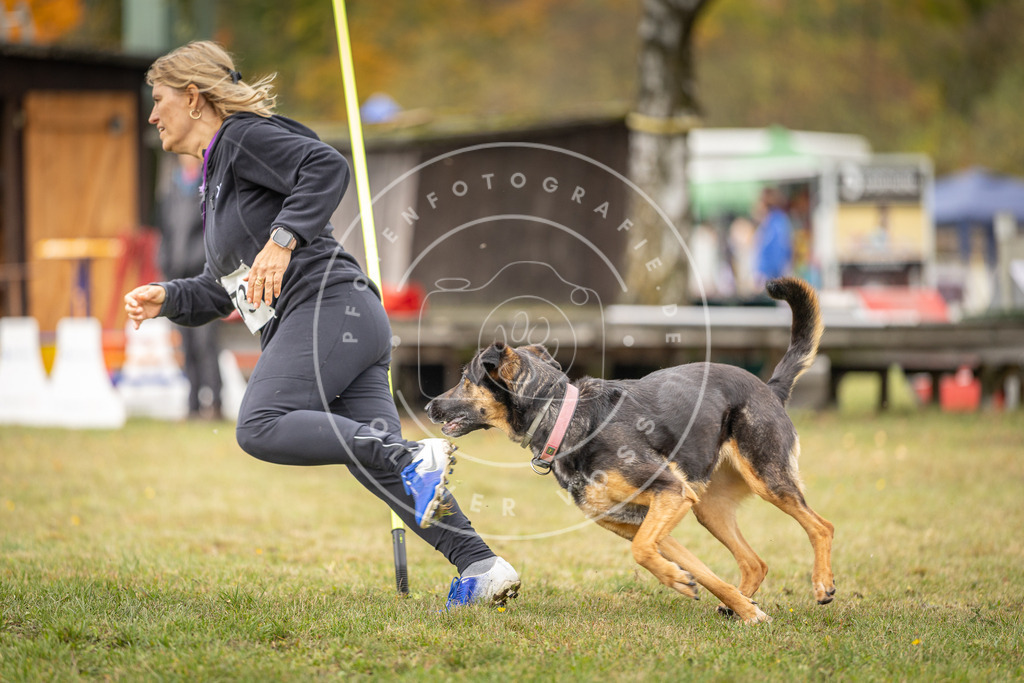 Pfotenfotografie_DV3A5413 | Hundefotografie, Tierfotograf, Pfotenfotografie, Fotoshooting Hund, Hunde Portrait, Hundesport, Hundeportraits, Heideshooting, Hunde, Sportfotograf, Hundefotograf, Turnierhundsport, THS,  - Realisiert mit Pictrs.com