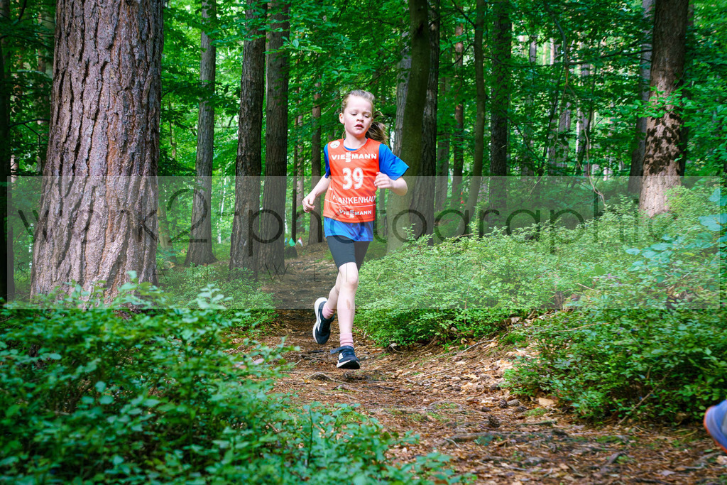 Rolf-Schumann-Gedächtnislauf | Frankenhain, 30.08.2025