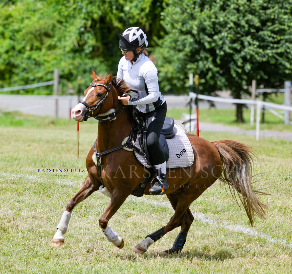 1B3A1141 | Reitsport Reiten