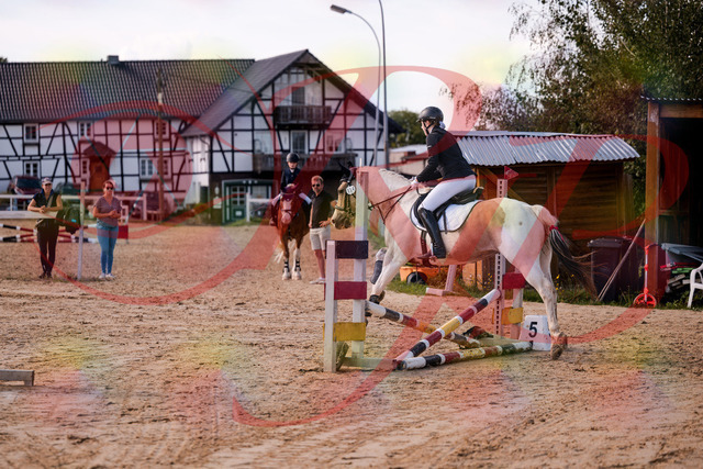 2026_10_03_Siefer-Hof_144303_Z81_16493726 | Professionelle Reitsport-, Turnier- und Eventfotografie von Robert Broda. Galerien mit ausgewählten und bearbeiteten Bildern direkt online ansehen und bestellen.