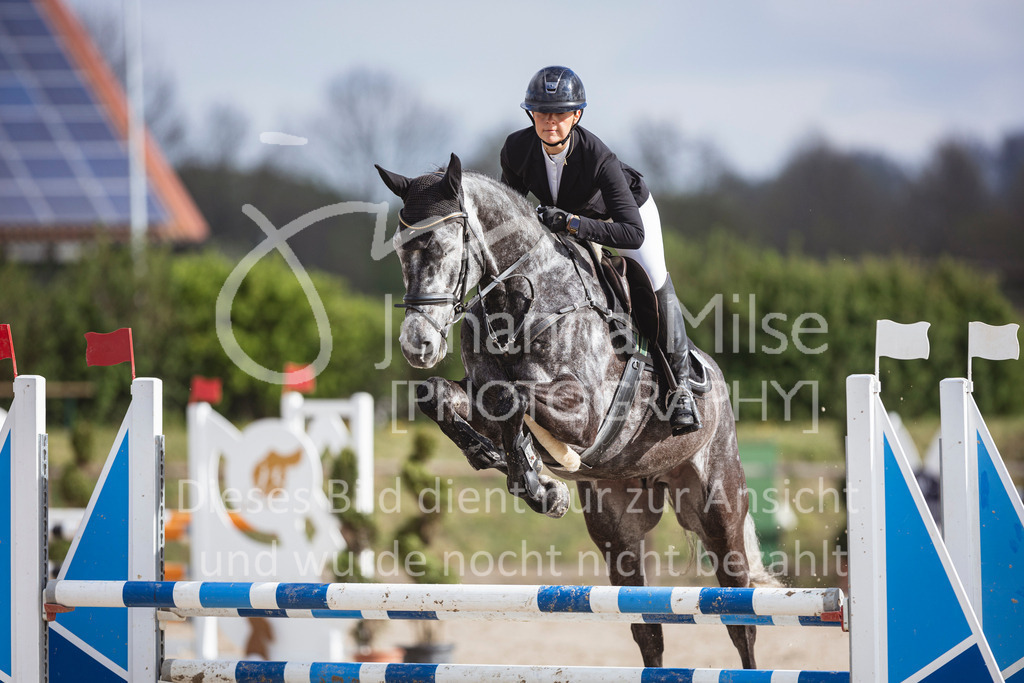 250419_Frühlingsfest_Springpf-L-351 | Deine schönsten Turniermomente als professionelle Fotos! Entdecke hochwertige Pferdesport-Fotografie im Online-Shop. Jetzt Fotos finden & bestellen!