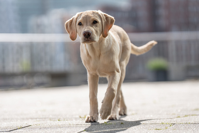 826-00419 | Eva Nimtschek Fotografie - Realisiert mit Pictrs.com