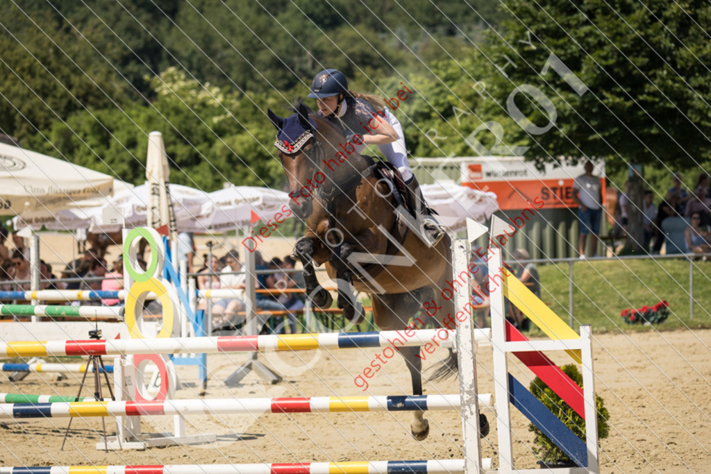 IMG_9658 | Sport-, Event- und Tierfotos in Profiqualität. Einfach auswählen, bestellen und herunterladen. Dein Moment – perfekt festgehalten.
