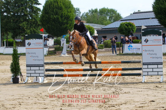 DKP41325 | Turniersportfotografie; Pferdefotografie; Dressurfotografie