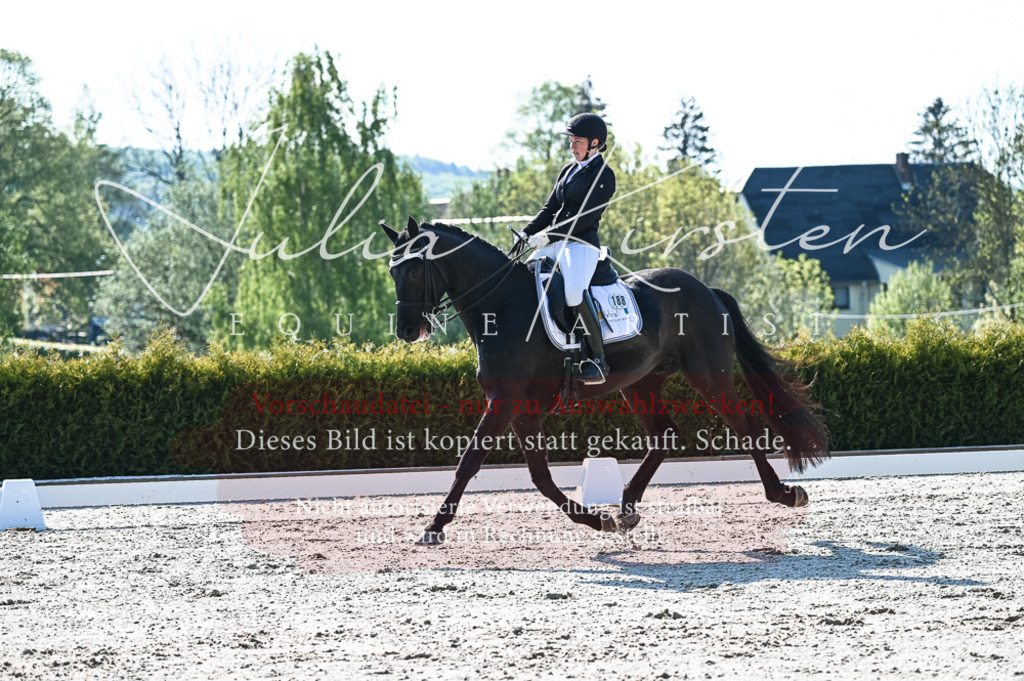 20230514_JK-Röhrsdorf-18-148 | Pferde- und Turnierfotografie in Westsachsen. Pferdeportraits, Auftragszeichnungen und intuitive Kunst.