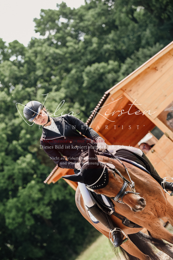 DSC_0915 | Pferde- und Turnierfotografie in Westsachsen. Pferdeportraits, Auftragszeichnungen und intuitive Kunst.