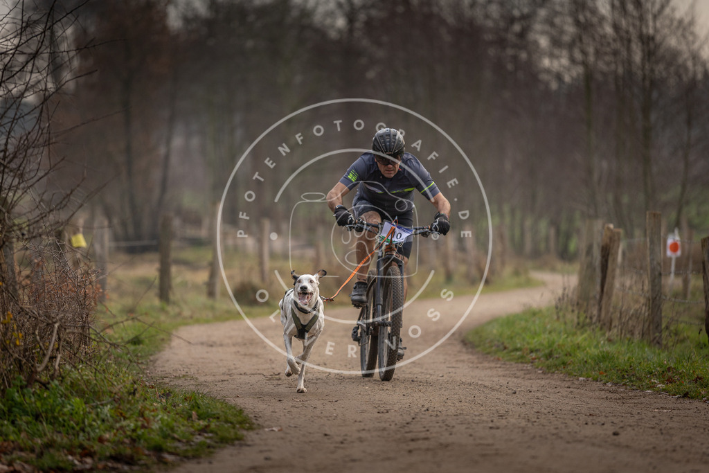 Pfotenfotografie_DV3A1722 | Hundefotografie, Tierfotograf, Pfotenfotografie, Fotoshooting Hund, Hunde Portrait, Hundesport, Hundeportraits, Heideshooting, Hunde, Sportfotograf, Hundefotograf, Turnierhundsport, THS,  - Realisiert mit Pictrs.com