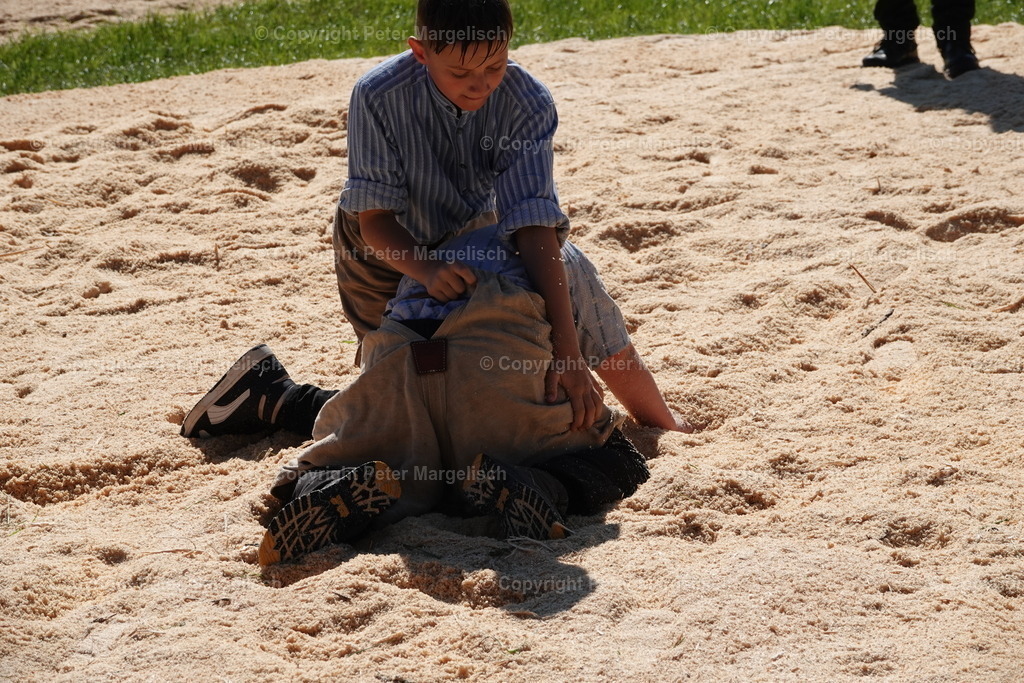 DSC04700 | Schwingen - Realisiert mit Pictrs.com