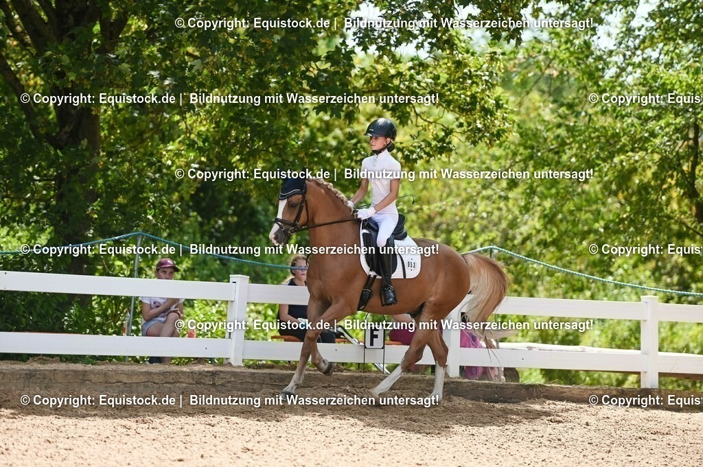 20230715_09_Dressur-WB_0278 | equistock