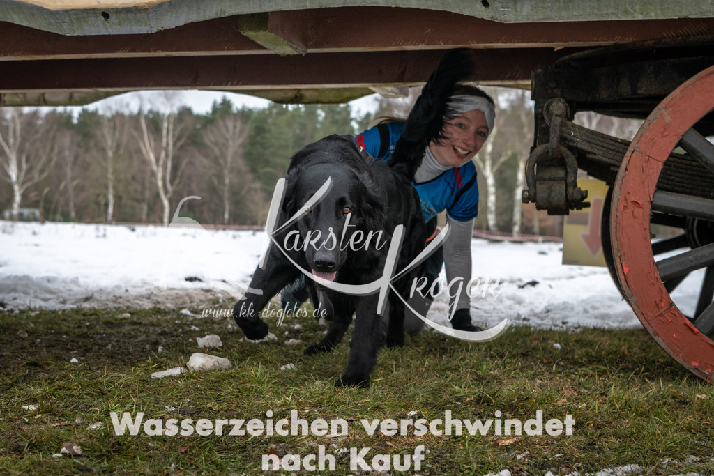 0941_ZZ91280 | kk-dogfotos