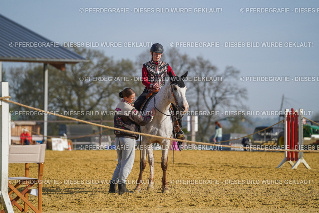 DSC00935 | Pferdegrafie