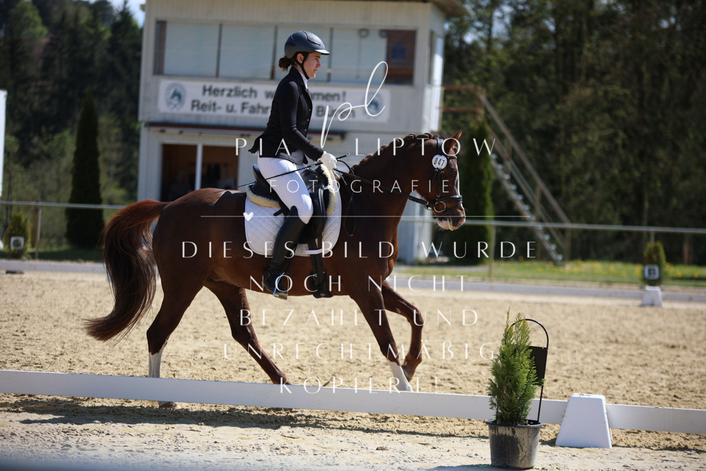 IMGT2526 | pl-fotografie