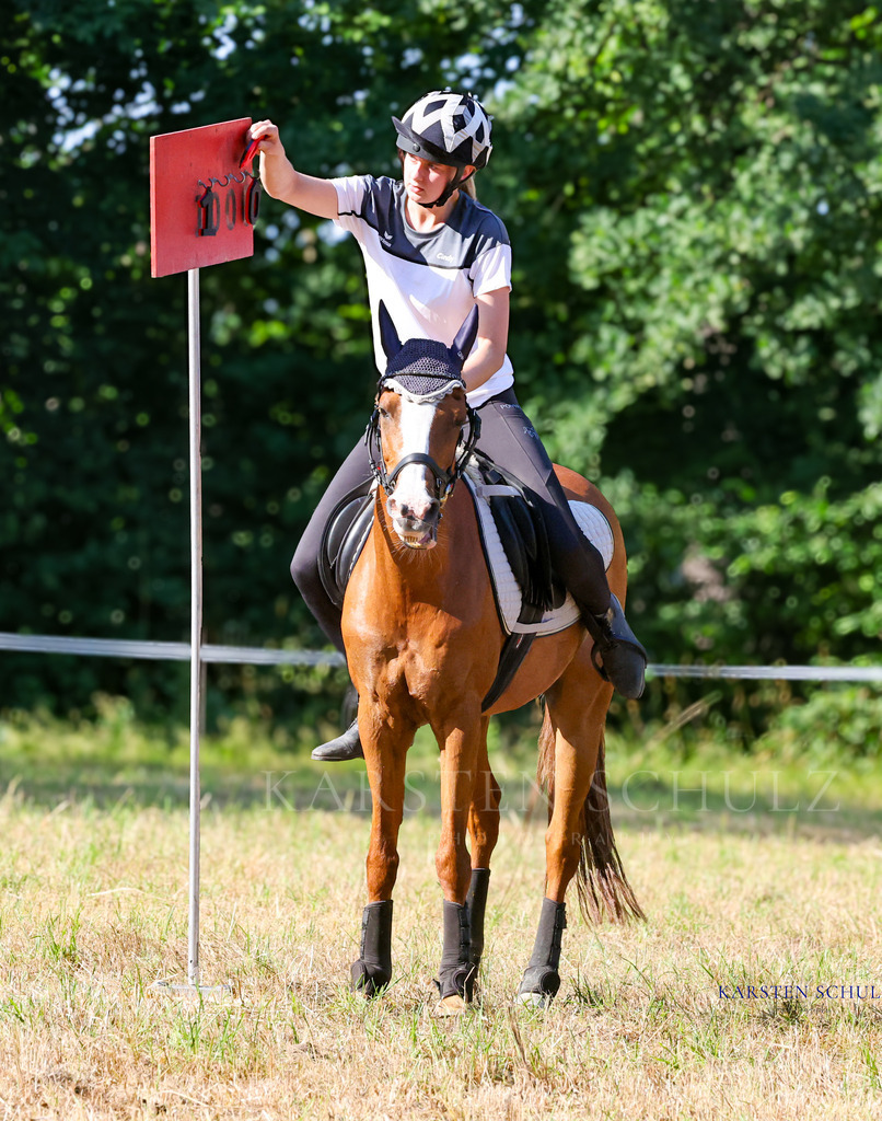 1B3A8419 | Reitsport Reiten