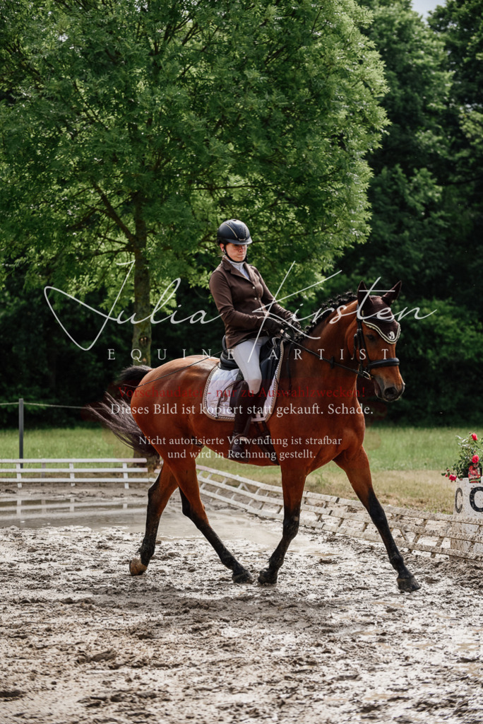 DSC_9500 | Pferde- und Turnierfotografie in Westsachsen. Pferdeportraits, Auftragszeichnungen und intuitive Kunst.