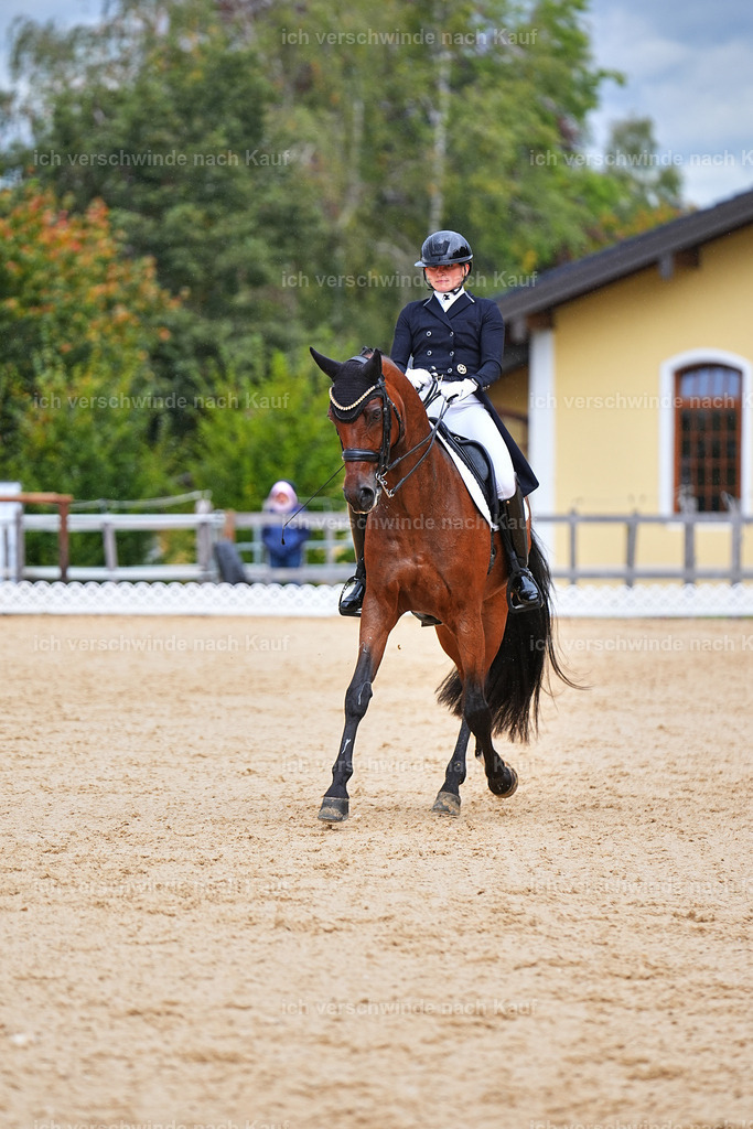 8_1-100-Klasse S_  -Marixx-4197 | working equitationturnier fotograf videograf stoibphotography marixx film working equitation deutschland reitsport turnierfotografie eventfotografie equestrian events