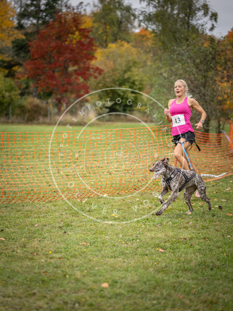 Pfotenfotografie_DV3A2358 | Hundefotografie, Tierfotograf, Pfotenfotografie, Fotoshooting Hund, Hunde Portrait, Hundesport, Hundeportraits, Heideshooting, Hunde, Sportfotograf, Hundefotograf, Turnierhundsport, THS,  - Realisiert mit Pictrs.com