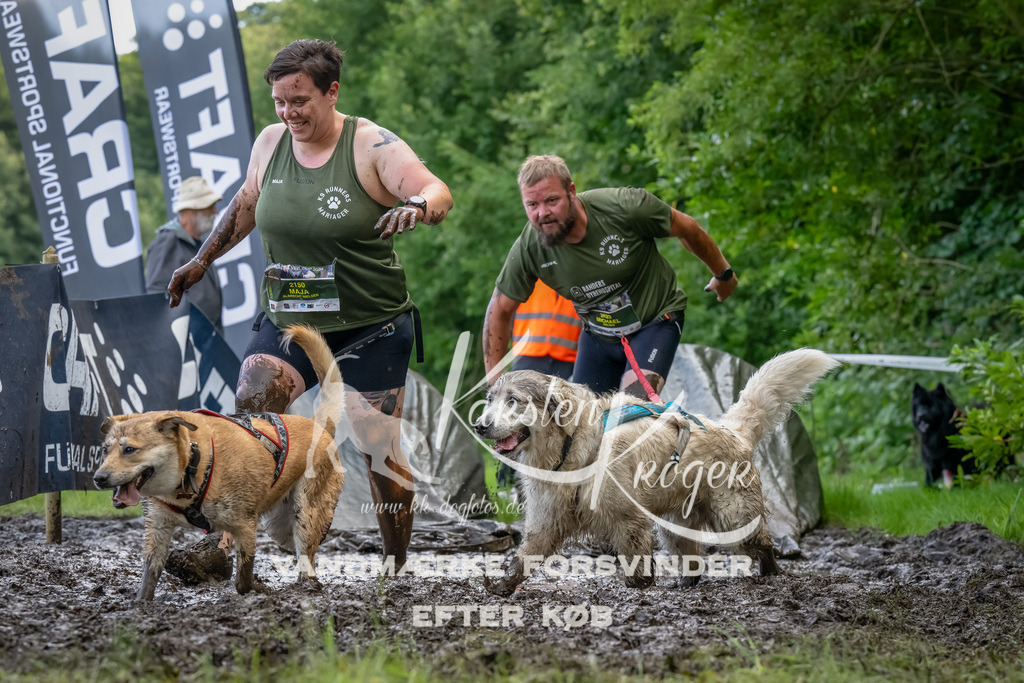 1154_ZZ90201-Bearbeitet | kk-dogfotos
