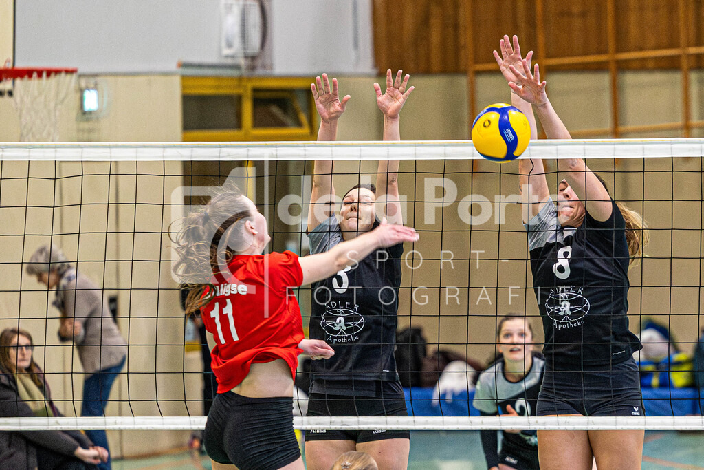 Heide Volleys Erste Frauen - Kalert_ Alina und Melina Zell (blocken erfolgreich Katharina Machholz) vs SG Aligse 131225 dlP | immodelaporte-sportfotos - Realisiert mit Pictrs.com