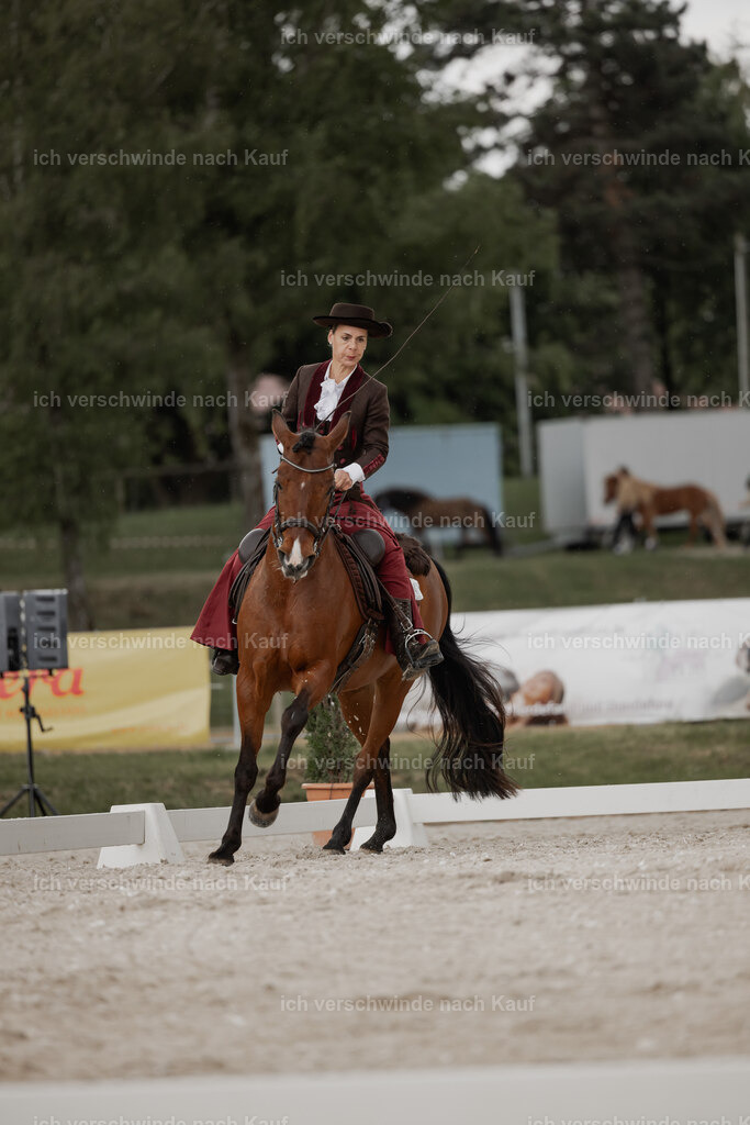 WE_DR_Stoib_343_PI2025_207 | Pferd International München 2025