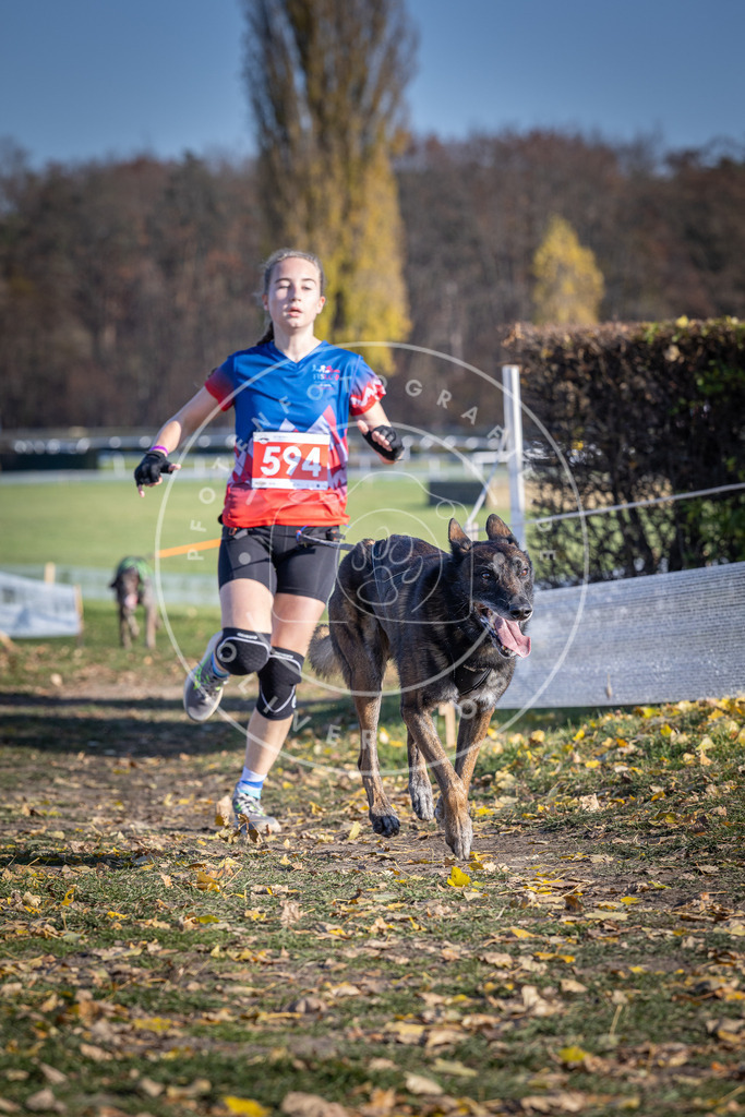 CaniXpix_DV3A9345 | Hundefotografie, Tierfotograf, Pfotenfotografie, Fotoshooting Hund, Hunde Portrait, Hundesport, Hundeportraits, Heideshooting, Hunde, Sportfotograf, Hundefotograf, Turnierhundsport, THS,  - Realisiert mit Pictrs.com