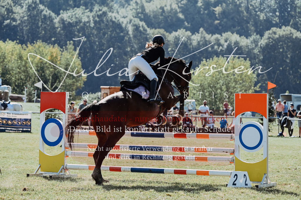 DSC_5630 | Pferde- und Turnierfotografie in Westsachsen. Pferdeportraits, Auftragszeichnungen und intuitive Kunst.