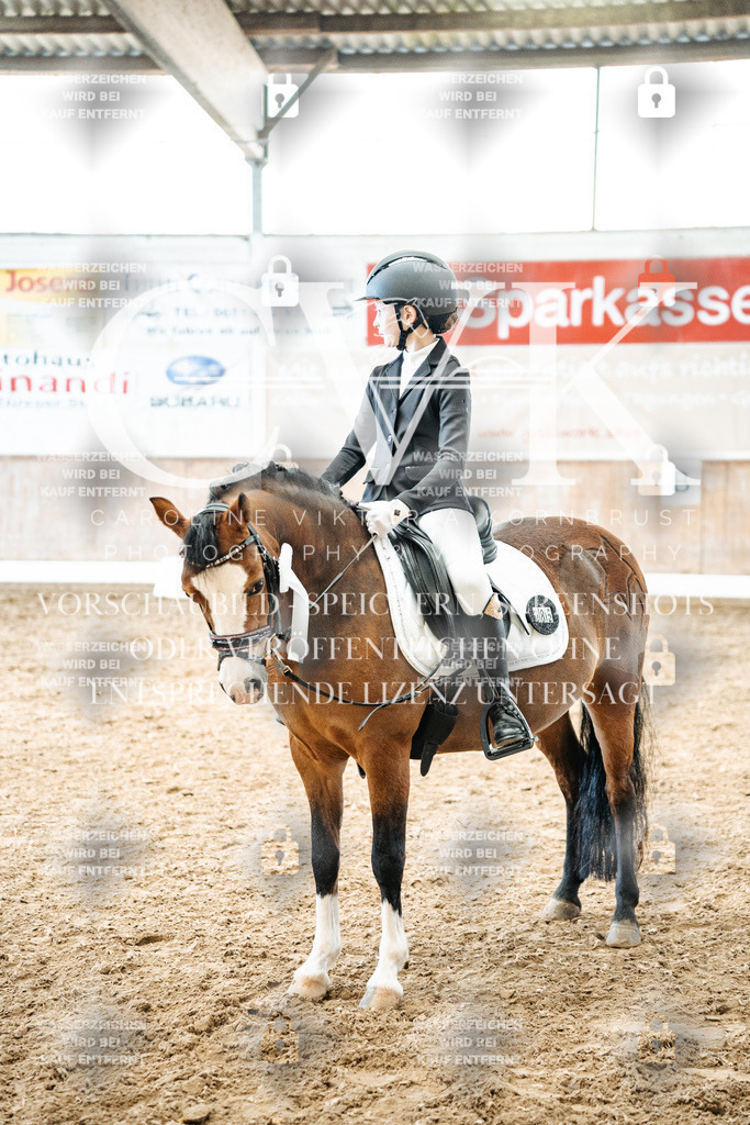 CK703119 | Turnierfotografie Pferdefotografie Trier Rheinland-Pfalz Pferdesport Reitsport Tierfotografie Sportfotografie Pferdevideo Pferdevideografie Equestrianvideography equestrianphotography  - Realized with Pictrs.com
