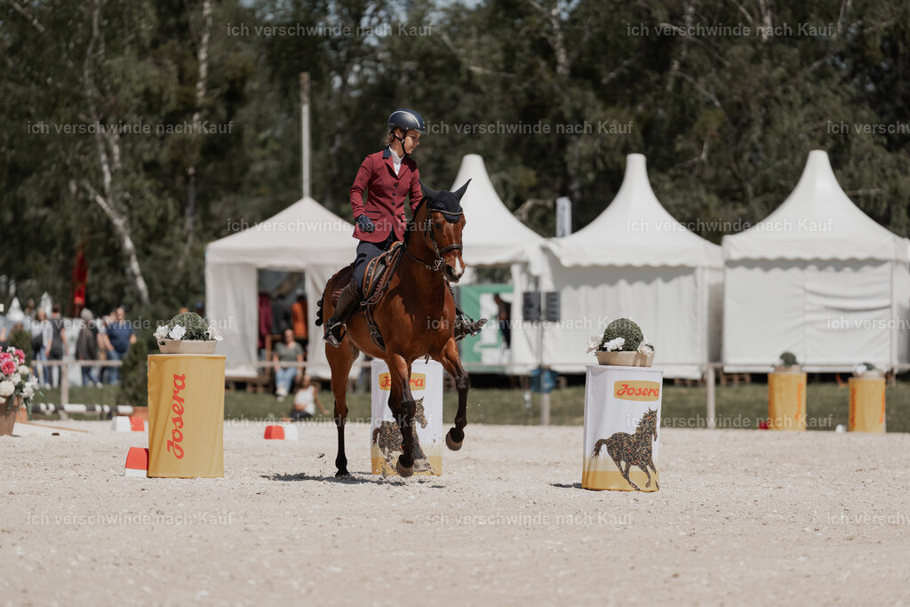 WE_ST_Stoib_343_PI2025_1304 | Pferd International München 2025