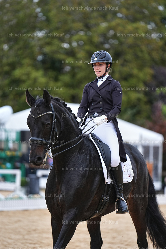 8_1-118-Klasse S_  -Marixx-4227 | working equitationturnier fotograf videograf stoibphotography marixx film working equitation deutschland reitsport turnierfotografie eventfotografie equestrian events