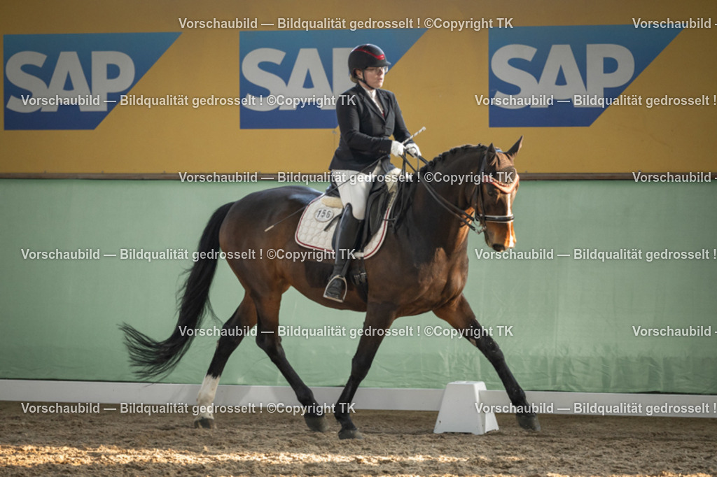 _D5A3340 | Emotionale Pferde- & People-Fotografie rund um Heidelberg, Leimen & Umgebung. Natürliche Fotos von Pferd, Mensch & Familie. Jetzt Termin sichern!