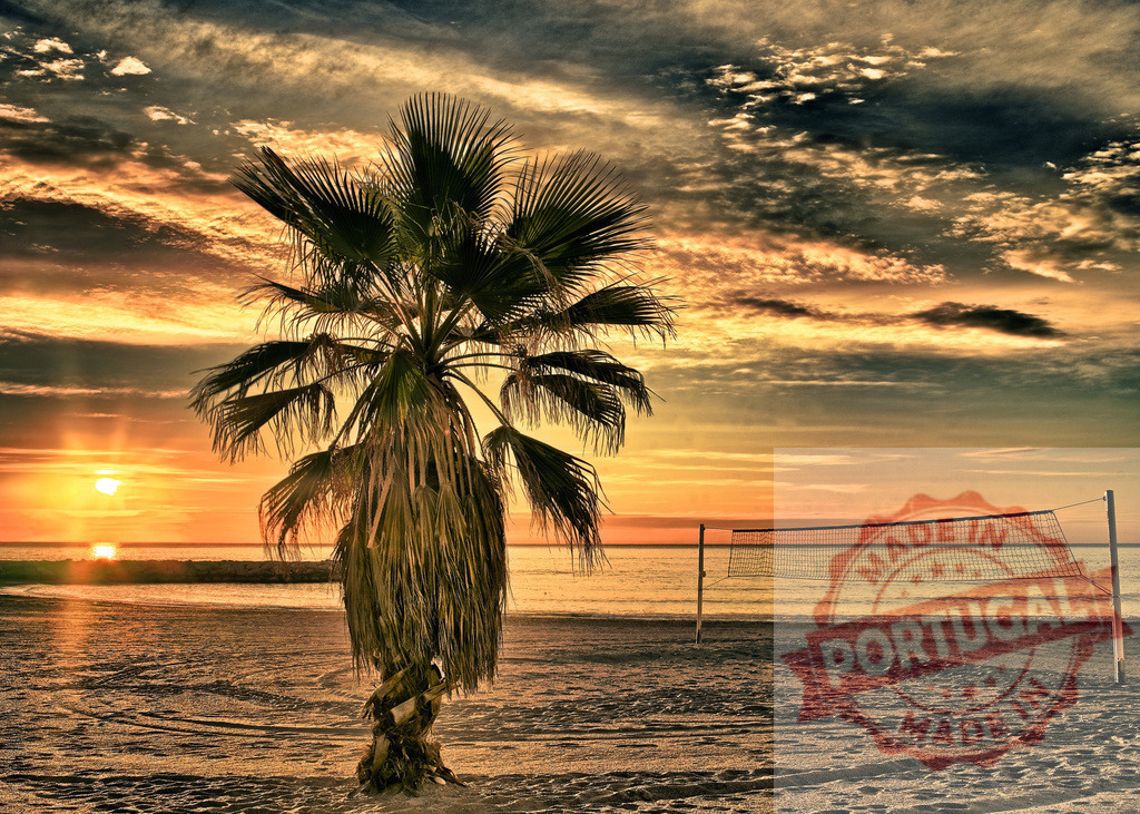 Tropical beach sunset with palm tree and volleyball net | Palm tree stands on a sandy beach with volleyball net at sunset - Realisiert mit Pictrs.com