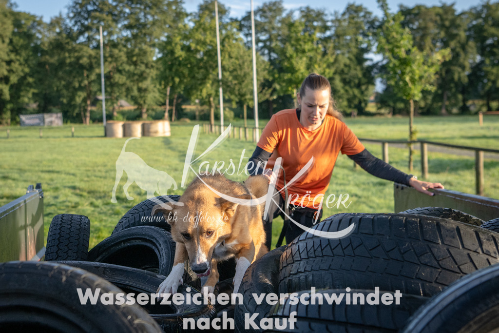 0808_ZZ90433 | kk-dogfotos