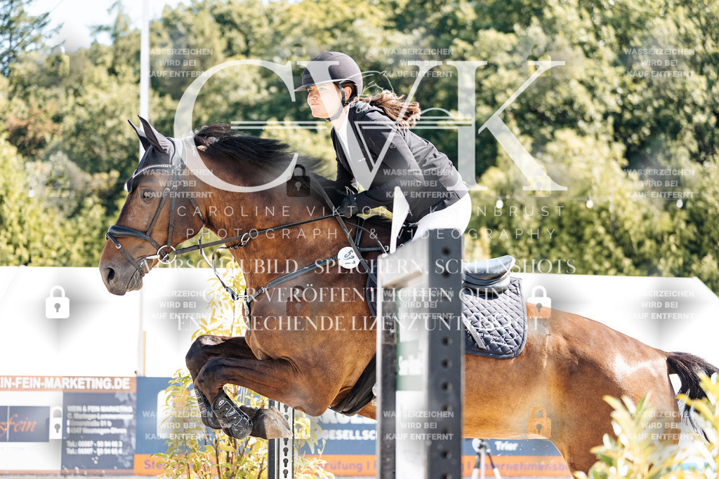 CK908264 | Turnierfotografie Pferdefotografie Trier Rheinland-Pfalz Pferdesport Reitsport Tierfotografie Sportfotografie Pferdevideo Pferdevideografie Equestrianvideography equestrianphotography  - Realisiert mit Pictrs.com