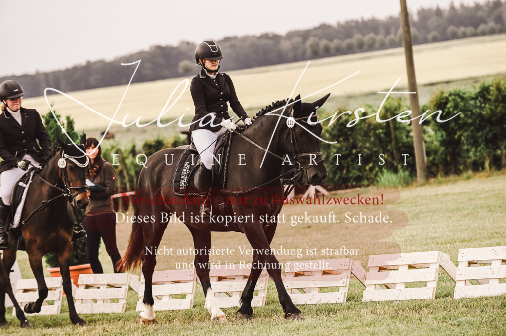 DSC_4929 | Pferde- und Turnierfotografie in Westsachsen. Pferdeportraits, Auftragszeichnungen und intuitive Kunst.