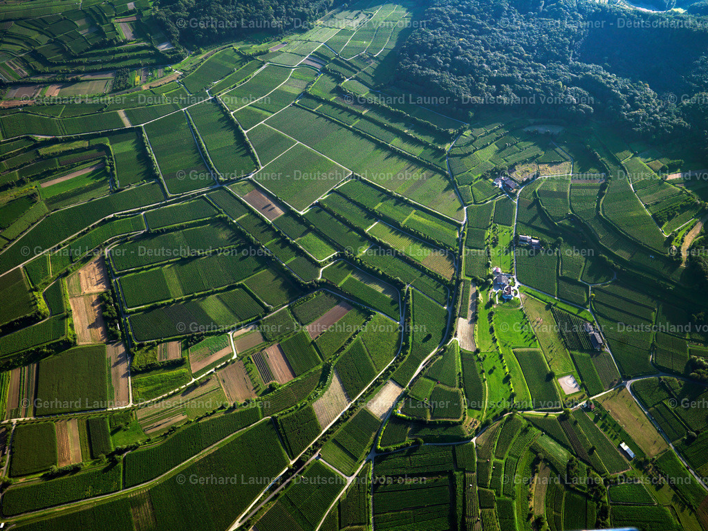 2731844 | GŸnzburg250707 346