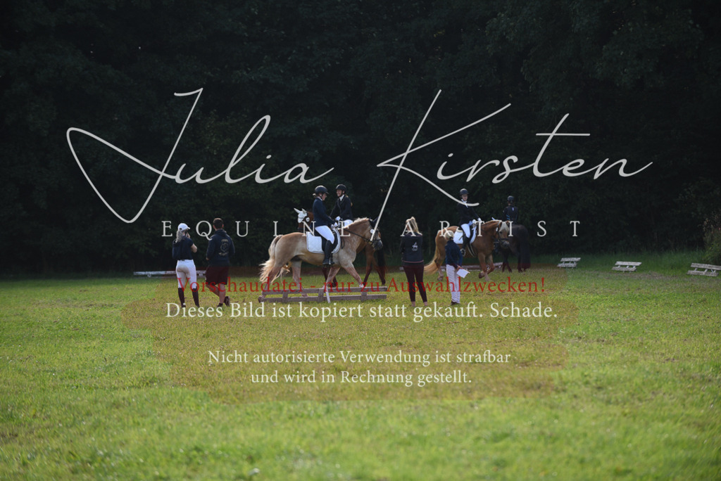 DSC_8543 | Pferde- und Turnierfotografie in Westsachsen. Pferdeportraits, Auftragszeichnungen und intuitive Kunst.