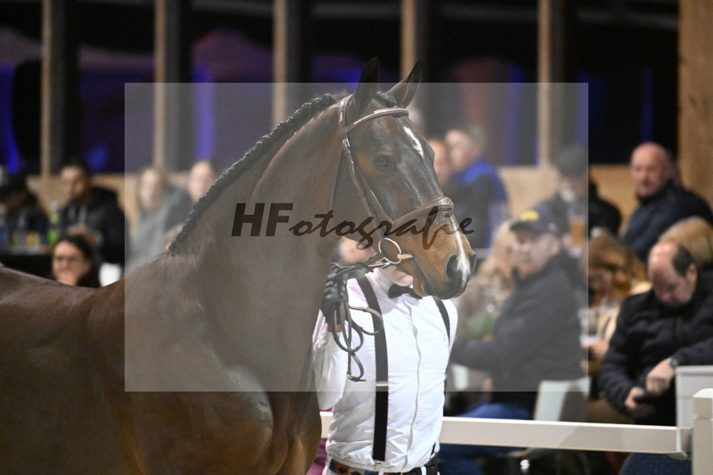 Vigaro_14261346 | hf-fotografie - Realisiert mit Pictrs.com