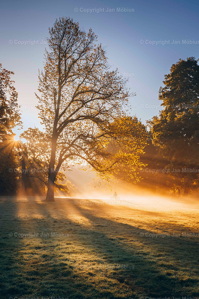 _DSC4656 | Leipzig Wandbilder Drucke Prints Leinwand Stadtmotive Leipzig Fotosdruck Kunstdrucke Bilder Leipzig Stadtansichten Acrylglasbilder Leipzig Wanddeko Fine Art Prints Wandbilder Büro Leipzig Bilder Praxis Zuhause Bilderdruck Poster Posterlounge Kunstdrucke - Realisiert mit Pictrs.com