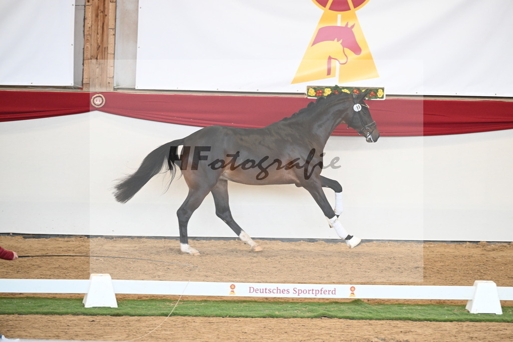Kat.-Nr. 89 v. Vivaldon_Beckmann_2250849 | hf-fotografie - Realisiert mit Pictrs.com