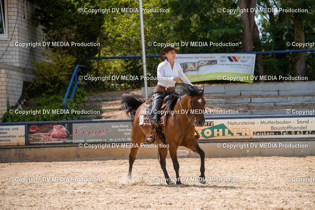 EWP_6494 | dv-media-shop - Realisiert mit Pictrs.com