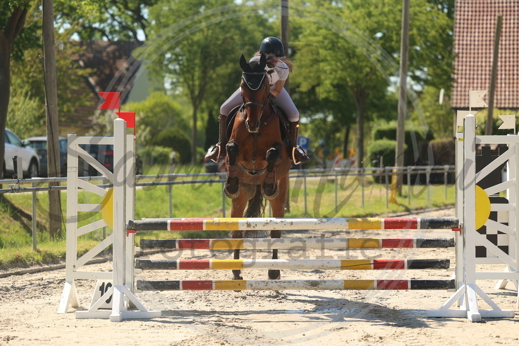 994A5942 | sabrinanicolaifotografie - Realisiert mit Pictrs.com