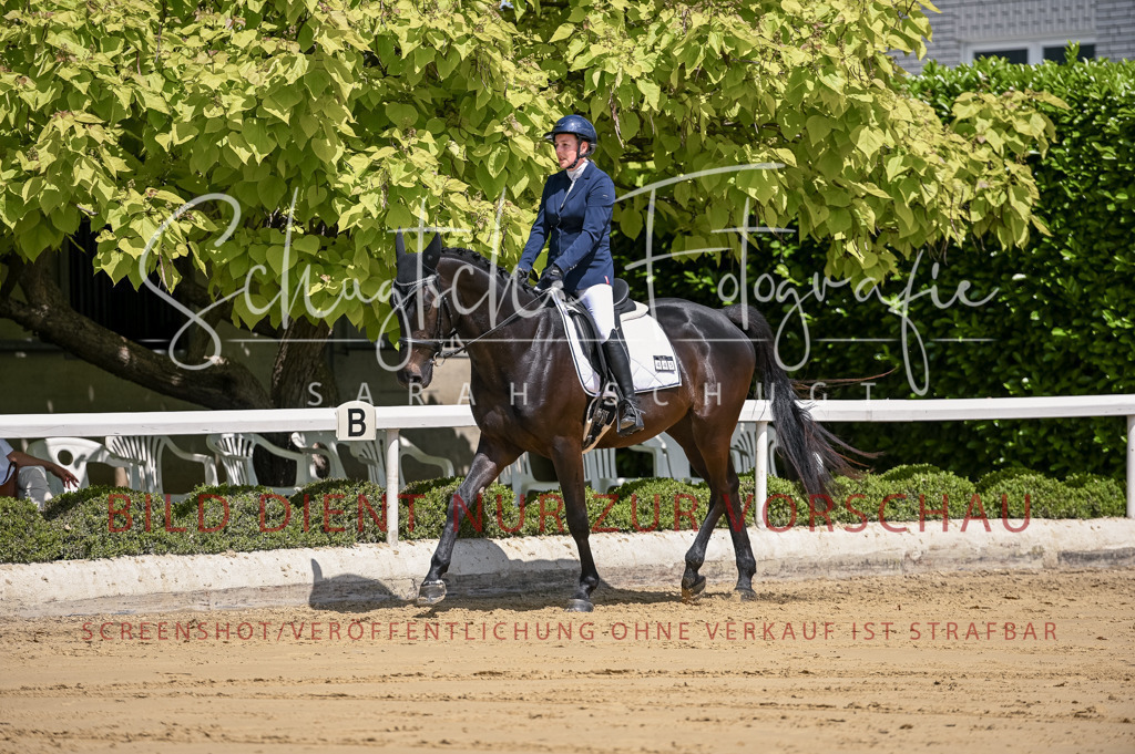 Schugtsche-Aluta25-48.Reitpferfdeprf.-204 | Schugtsche Fotografie - Realisiert mit Pictrs.com