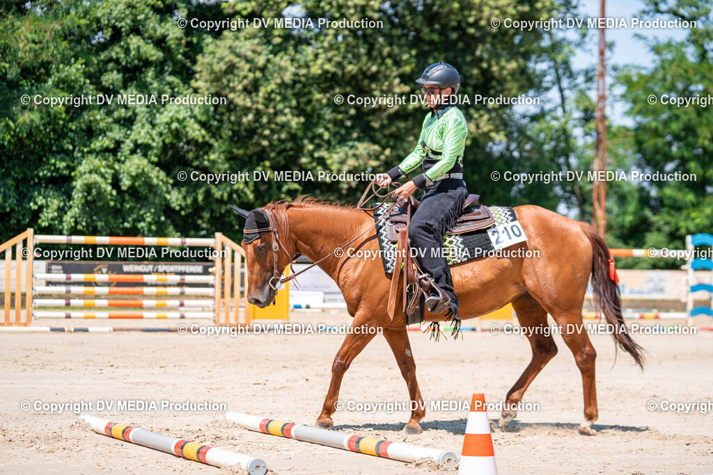 Zeiskam Tag 2-613 | dv-media-shop - Realisiert mit Pictrs.com